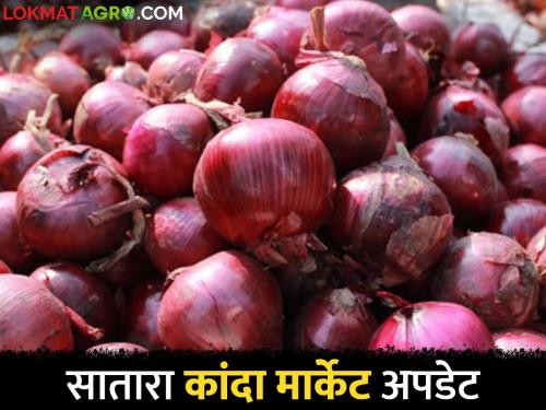 Kanda Bajar Bhav : increase in onion price in Satara Market Committee.. How is the price getting? | Kanda Bajar Bhav : सातारा बाजार समितीत कांद्याच्या दरात चांगली वाढ.. कसा मिळतोय दर