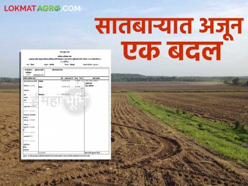 Divided more owner farmers registration will now be done on Satbara; What is the decision? Read in detail | सातबाऱ्यावर होणार आता पोटहिस्स्याची नोंद; काय आहे निर्णय? वाचा सविस्तर