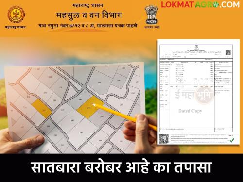 mistakes in satbara land record; 50 thousand satbara land record are defective in pune division | सातबारा उताऱ्यांमध्ये चुका; पुणे विभागात ५० हजार सातबारा उतारे सदोष