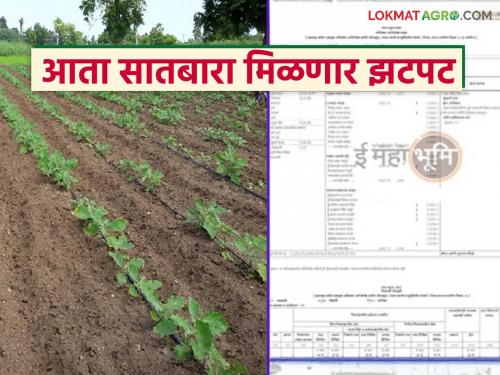 Farmers rush will stop, now they will get Satbara immediately; Sangli Collector start new campaign | शेतकऱ्यांची धावपळ थांबणार आता सातबारा लगेच मिळणार; सांगली जिल्हाधिकाऱ्यांची नवी मोहीम