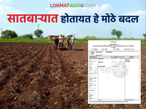 Satbara will now be clearer and more flexible, these changes are taking place; know in detail | सातबारा होणार आता अधिक स्पष्ट आणि सुटसुटीत, होतायत हे बदल; जाणून घ्या सविस्तर
