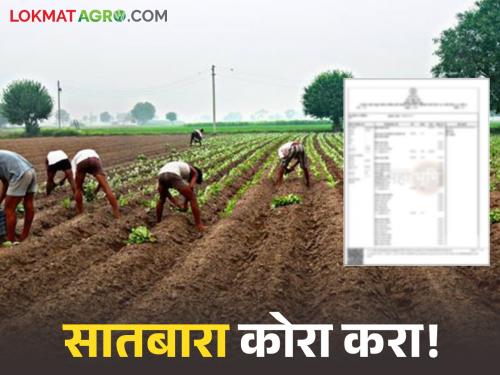 latest news Satbara Kora Kara: Farmers' organization warns: Make farmers' Satbara Kora; Immediately announce debt relief | Satbara Kora Kara : शेतकरी संघटनेचा इशारा : शेतकऱ्यांचा सातबारा कोरा करा; कर्जमुक्ती तातडीने जाहीर करा