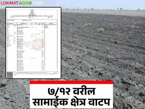 Can shared agricultural land be divided? What are the rules? Know in detail | सामायिक शेतजमिनीची वाटणी करता येते का? काय आहे नियम? जाणून घ्या सविस्तर