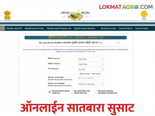 Satbara: Farmers downloaded three lakh stabara land record in a single day | Satbara राज्यात एका दिवसात तब्बल तीन लाख सातबारा उतारे झाले डाऊनलोड