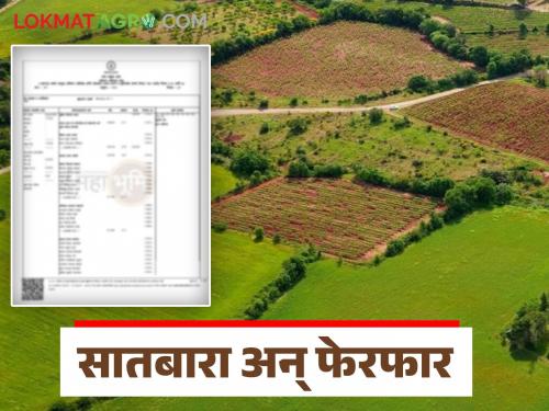 Latest News Jamin Kharedi Check Satbara and ferfar nondi while buying land | Jamin Kharedi : जमिनीचा मूळ मालक अन् जमीन कसणारी व्यक्ती दुसरीच, अशावेळी काय कराल? 