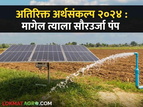 Latest News Farmers will get solar energy pumps, Ajit Pawar's announcement, see how to apply | Maharashtra Budget 2024 : शेतकऱ्यांसाठी मागेल त्याला सौरउर्जा पंप, अर्थमंत्र्यांची घोषणा, असा करा अर्ज