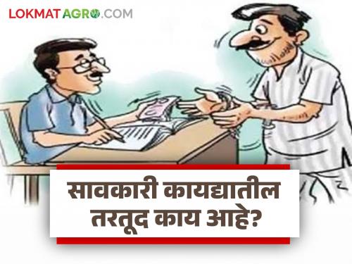 Latest news Savkari Karj Kayda What is provision in Money Laundering Act see the rules | Savkari Karj Kayda : काय आहे सावकारी कायद्यातील तरतूद? 'हे' नियम समजून घ्या