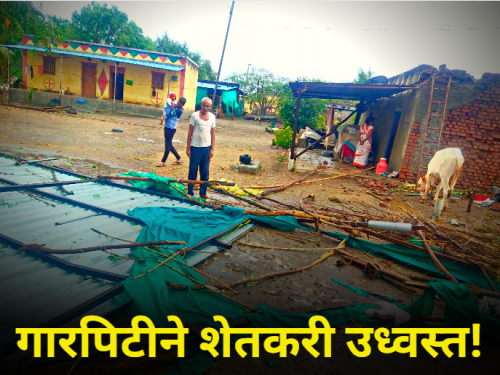 ahmednagar maharashtra heavy rain lightining crop farm produce damage Untimely rain has ruined everything | "अवकाळी पावसानं सगळं उध्वस्त झालंय, घरात सगळे एकमेकांचे सुकलेले चेहरे पाहतायेत"