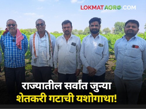 paithan deogaon dipak joshi oldest group of farmers in the state Those who achieved alchemy through group farming | राज्यातील सर्वांत जुना शेतकऱ्यांचा गट, ज्यांनी गटशेतीतून बदललं गावचं अर्थकारण