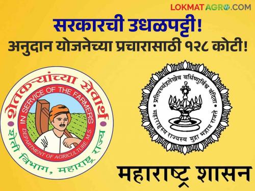 maharashtra government 128 crore spent on publicity of farmer crop damage grant allocation alone Extravagance of state government when there is no money in the coffers | होऊद्या खर्च! केवळ अनुदान वाटपाच्या प्रचार-प्रसिद्धीसाठी १२८ कोटींचा खर्च; तिजोरीत पैसे नसताना राज्य सरकारची उधळपट्टी