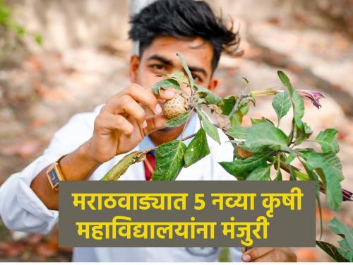 Approval for 5 new agricultural colleges in Marathwada, provision of more than 500 crores | मराठवाड्यात 'या' जिल्ह्यांमध्ये कृषी महाविद्यालये, किती कोटींची तरतूद?