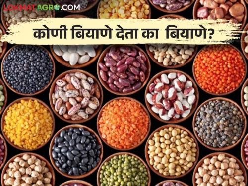 Seeds: No seeds were available for sowing in the soil where the research was done | Seeds : जिथे संशोधन झाले त्या मातीत पेरण्यासाठी बियाणेही मिळेना