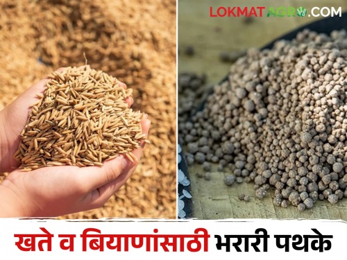 Selling bogus fertiliser, seeds will result in criminal charges against the seller | बोगस खत, बियाणे विकल्यास विक्रेत्यावर होईल फौजदारी