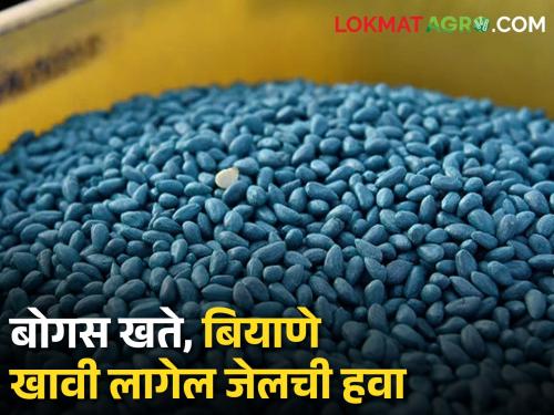 Beware! You will go to jail if you sell bogus fertilisers, seeds | सावधान! बोगस खते, बियाणे विकाल तर तुरुंगात जाल