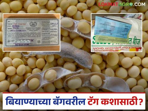 What do the different colored tags on seed bags mean? Find out in detail | बियाण्याच्या बॅगवरील विविध रंगाचे टॅग काय सांगतात? जाणून घ्या सविस्तर