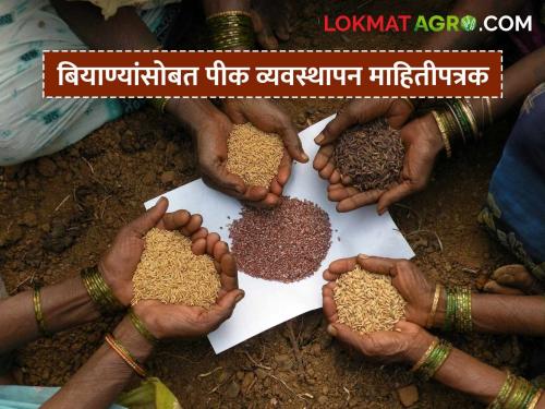 Latest News Crop management brochure on seeds will now be available, read in detail | Agriculture News : बियाण्यांसाेबत मिळणार आता पीक व्यवस्थापन माहितीपत्रक, वाचा सविस्तर 