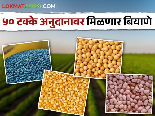 Kharif Seed On Subsidy Farmers will get seeds on subsidy; Read where to apply | Kharif Seed On Subsidy शेतकऱ्यांना मिळणार अनुदानावर बियाणे; वाचा कुठे करायचा अर्ज