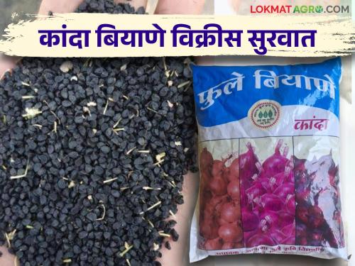 Onion seeds available for sale from Rahuri University; Where to get seeds? | राहुरी विद्यापीठाकडून कांदा बियाणे विक्रीसाठी उपलब्ध; कुठे मिळणार बियाणे?