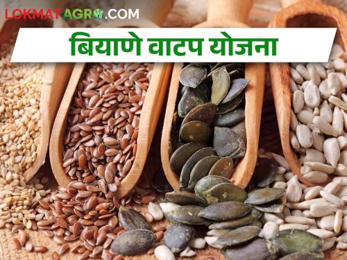 Latest News Take advantage of the free seed distribution scheme now | आता मोफत बियाणे वाटपाची योजना, असा घ्या लाभ 