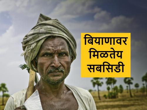 Subsidy to farmers on Seeds via 'MahaDBT' portal | Subsidy: शेतकरी बांधवांनो, अनुदानावर बियाणे हवेय, मग ‘इथे’ करा संपर्क