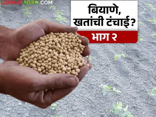 latest news Kharif Season: Shortage of cotton seeds and DAP fertilizer in Akola; 'Break' to farmers preparations? Read in detail | Kharif Season : अकोल्यात कपाशी बियाणे आणि डीएपी खताचा तुटवडा; शेतकऱ्यांच्या तयारीला 'ब्रेक'? वाचा सविस्तर
