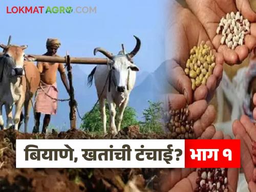 latest news Kharif Season: Major action before Kharif sowing; Samples of 247 agricultural inputs sent for testing! | Kharif Season : खरीप पेरणीपूर्वी मोठी कारवाई; २४७ कृषी निविष्ठांचे नमुने तपासणीसाठी पाठविले!