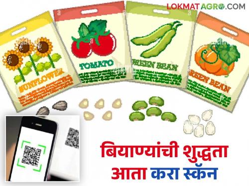 latest news Seed QR Code: Digital information facility for farmers: QR code mandatory on seeds Read in detail | Seed QR Code: शेतकऱ्यांना डिजिटल माहितीची सोय; बियाण्यांवर QR कोड बंधनकारक वाचा सविस्तर