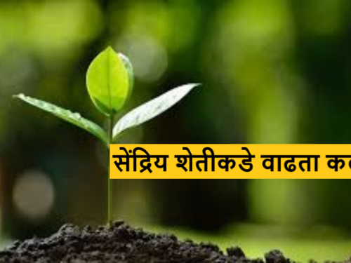 Latest News Organic Farming Farmer to consumer direct sales, snediry sheti to farmers in Gondia  | Organic Farming : शेतकरी ते ग्राहक थेट विक्री, गोंदियातील शेतकऱ्यांना सेंद्रिय शेतीची भुरळ 