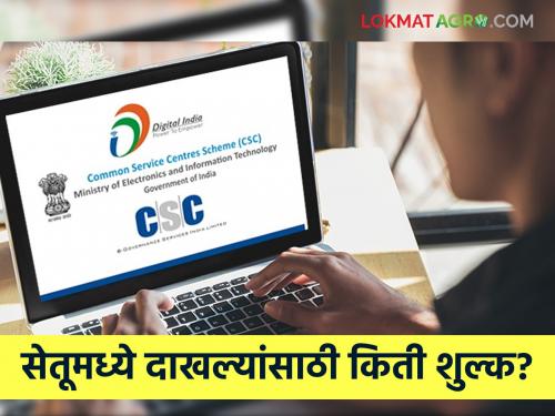 Latest News Shasakiy dakhale How much does it cost for any government certificate? Know the new rates | Setu Services : कोणत्याही शासकीय दाखल्यांसाठी किती पैसे लागतात? जाणून घ्या नवे दर 