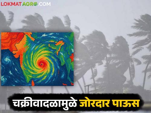 Cyclone 'Shakti' likely to form; Heavy rains in this area for next three days | Cyclone Shakti: 'शक्ती' चक्रीवादळ निर्माण होण्याची शक्यता; पुढील तीन दिवस या ठिकाणी जोरदार पाऊस