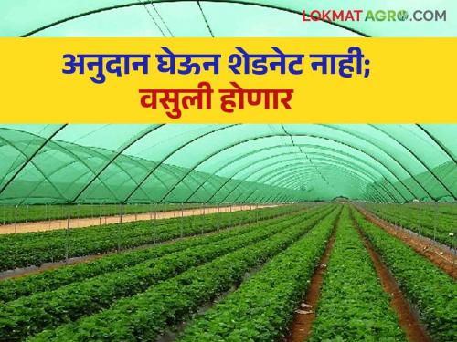 It is necessary to build while availing the benefit of the scheme  | Shednet scheme : योजनेचा लाभ घेतांना उभारणी करणे गरजेची 