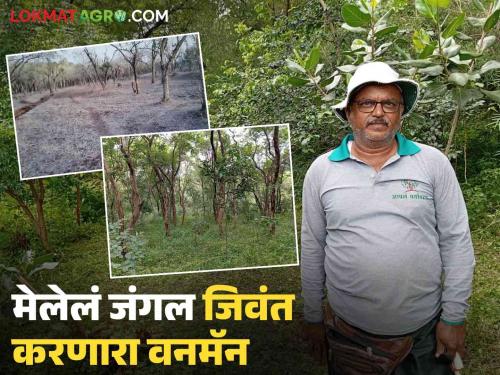 Latest news Nashik Devrai The story of tree man shekhar gaikwad revived 100 acre dead forest fashicha dongar in Nashik  | Nashik Devrai : नाशिकमधील 100 एकरांवरील मेलेलं जंगल जिवंत करणाऱ्या वनमॅनची गोष्ट 