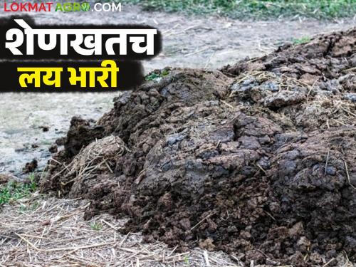 Use these fertilizers to reduce fertilizer costs and improve soil health | Sendriya Khat : खतांवरील खर्च कमी करण्यासाठी आणि मातीच्या आरोग्यासाठी वापरा ही खते