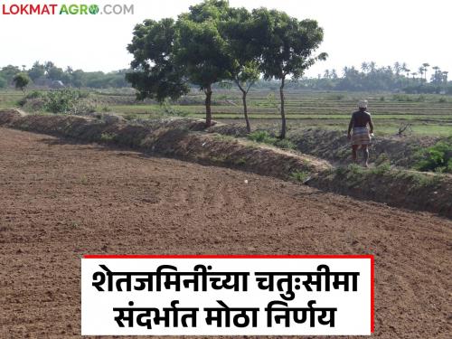 Farmers dispute over farm bund will now be resolved; 'This' is an important decision for the share of Satbara | शेतकऱ्यांचे बांधावरील वाद आता निकाली निघणार; सातबाऱ्यावरील पोटहिश्श्यासाठी 'हा' महत्वाचा निर्णय