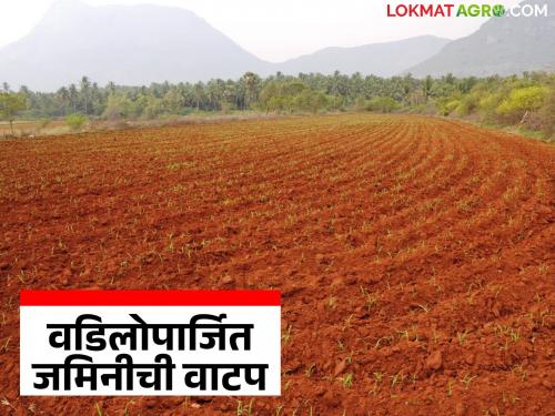 How to file a claim for allotment of ancestral agricultural land? What precautions should be taken? | वडिलोपार्जित शेतजमीन वाटपाचा दावा कसा दाखल करावा? काय काळजी घ्यावी?
