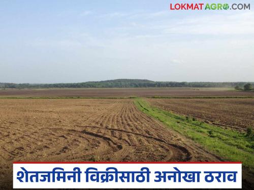This Gram Panchayat made an important resolution regarding the sale of agricultural land in the village; read the details | गावातील शेतजमिनी विकण्या संदर्भात 'या' ग्रामपंचायतीने केला एक महत्वपूर्ण ठराव; वाचा सविस्तर