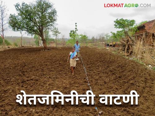 Latest News Jamin Vatani How exactly is agricultural land distributed in family Find out in detail | Shetjamin Vatani : शेतजमिनीची वाटणी नेमकी कशी केली जाते? जाणून घ्या सविस्तर 