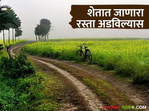 Latest news Shet rasta farm road is blocked by another farmer how to solve this issue | शेतातला रस्ता अडवलाय, का शेतात जायला रस्ताच नाही, तर केवळ एका अर्जाद्वारे मिळवा रस्ता