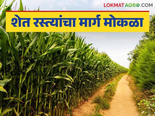Shet Rasta : New guidelines soon for making roads in farm for farmers; these changes will be made | Shet Rasta : शेत वहीवाटीमध्ये रस्ता करण्याबाबत लवकरच नवीन मार्गदर्शक सूचना; होणार हे बदल