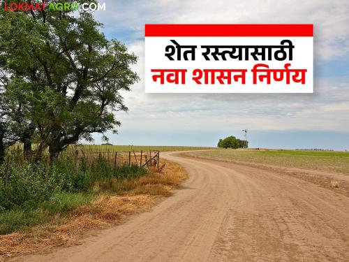 Another government decision issued for strengthening farm and water roads; What is the decision? | शेत व पाणंद रस्ते मजबुतीकरणासाठी अजून एक शासन निर्णय निर्गमित; काय आहे निर्णय?