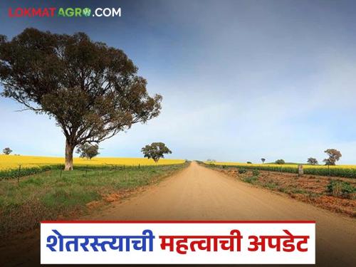 Now the farm roads will be widened, the revenue department has taken this big decision; Know the details | आता शेतरस्ते होणार रुंद, महसूल विभागाने घेतला हा मोठा निर्णय; जाणून घ्या सविस्तर