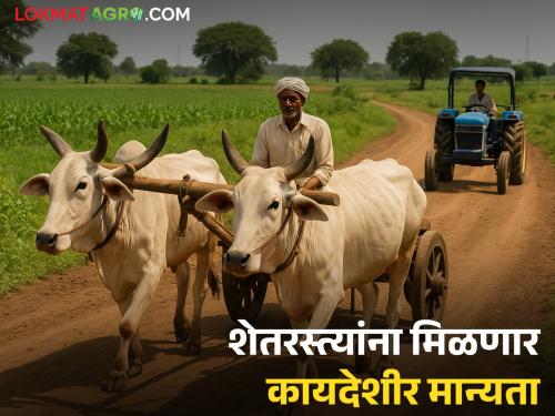 Digital records of farm roads, panand roads, shiv roads will be created; How will farmers benefit? | ग्रामीण शेतरस्ते, पाणंद रस्ते, शिव रस्त्यांचे होणार डिजिटल अभिलेख; शेतकऱ्यांना कसा होणार फायदा?