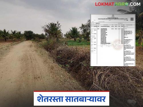 Now farmers will also be registered on Satbara; What is the decision? Read in detail | आता शेतरस्त्यांची सातबारावरही होणार नोंद; काय आहे निर्णय? वाचा सविस्तर