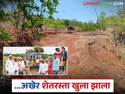 On the occasion of Agriculture Day, the Tehsildar finally opened the road that had been closed for four years. | कृषी दिनाचे औचित्य साधून चार वर्ष बंद असलेला शेतरस्ता अखेर तहसीलदारांनी केला खुला