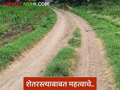 Latest News Important decision regarding farmers to resolve land disputes, read in detail | जमिनीचे वाद मिटवण्यासाठी आता शेतरस्त्यांबाबत महत्वाचा निर्णय, वाचा सविस्तर 