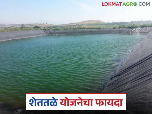Save every drop of rain; Huge funds for personal farm pond scheme this year | पावसाचा प्रत्येक थेंब साठवा; यंदा वैयक्तिक शेततळे योजनेसाठी भरघोस निधी