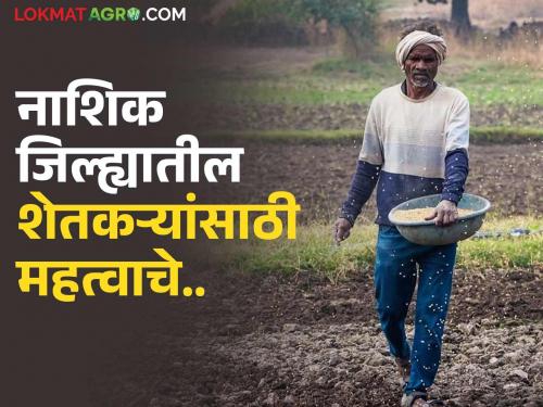 Latest News Don't link while buying chemical fertilizers with urea for kharif farming | युरियासोबत जड खत घ्यावं लागतंय, तुमच्या तालुका कृषी अधिकाऱ्यांना कळवा, 'ही' पहा संपर्क यादी 