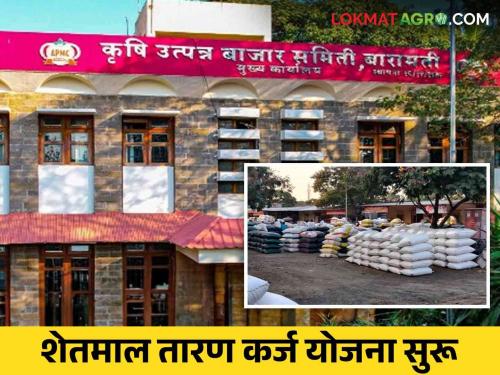 Baramati Agricultural Produce Market Committee this scheme for fluctuations in prices of agricultural produce | शेतमालाच्या भावातील चढ-उतार यासाठी बारामती कृषी उत्पन्न बाजार समितीत ही योजना सुरु