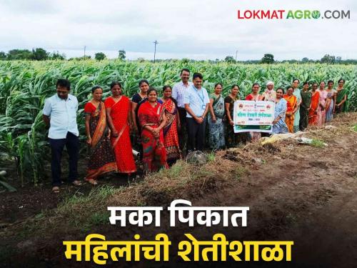 latest News Presentation of Agriculture Demonstration for Women by nashik Agriculture Department | Agriculture News : नाशिक तालुक्यात महिलांची शेतीशाळा, विविध प्रात्यक्षिकांचे सादरीकरण 