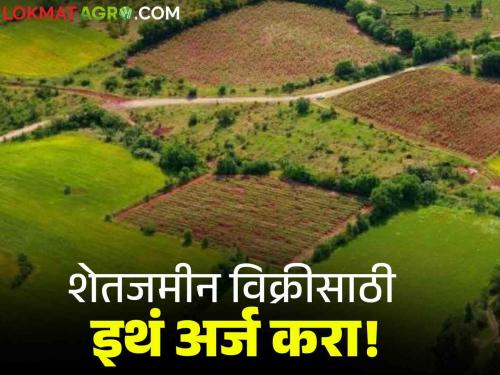 Latest news Scheduled caste farmers will get land on 100 percent subsidy basis know details scheme | Dadasaheb Gaikwad Sabalikaran Yojana : 100 टक्के अनुदान तत्वावर 'या' शेतकऱ्यांना मिळणार जमिनी, काय आहे ही योजना 